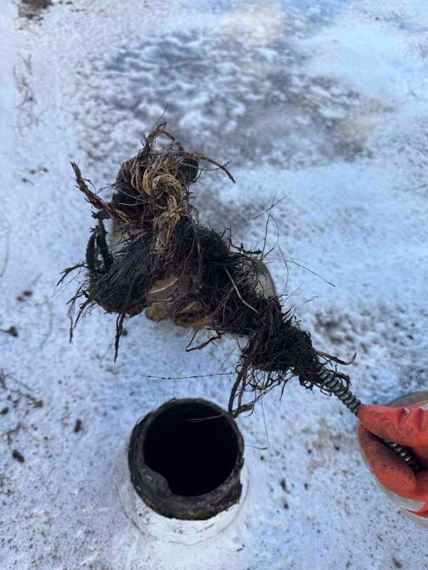 63daffd03f7d9f4994b371051e6a2dd9 drain cleaning Albuquerque